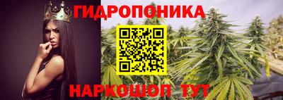 таблы Севастополь